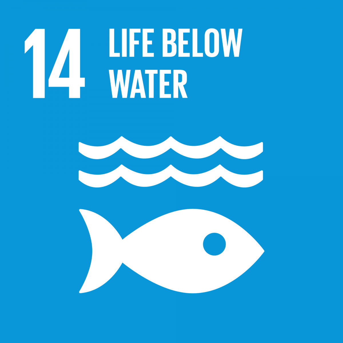 Life below water icon