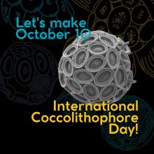 Campaign Visual - International Coccolithophore Day 