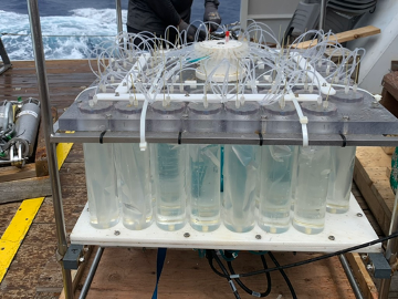 Fieldwork image credit Lisa Beal
