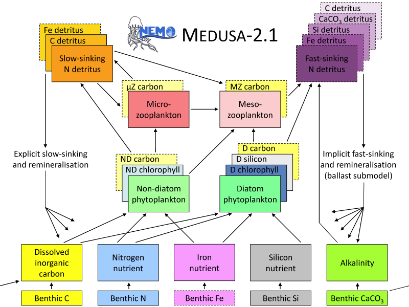 Medusa schematic