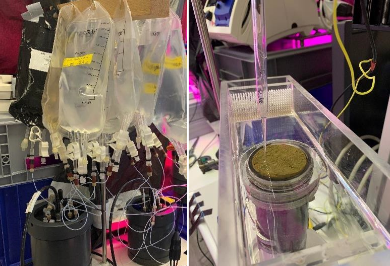 Left, LOC set-up in lab; Right, Microelectrode in sediment