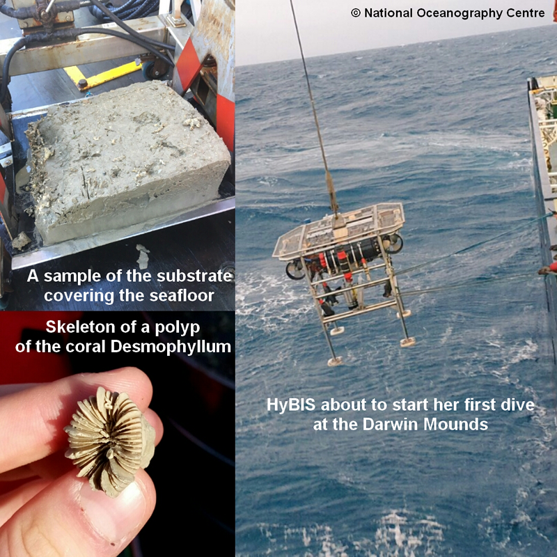 The cruise and science is well underway now.