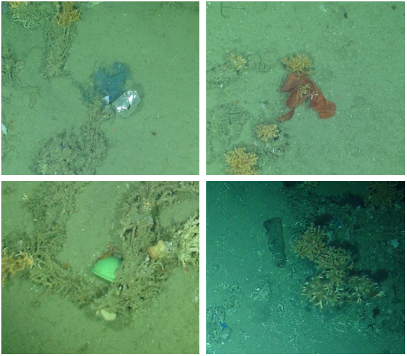  The footprint of human beings in this case litter can unfortunately be detected.