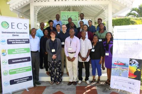 MEDIN Data workshop