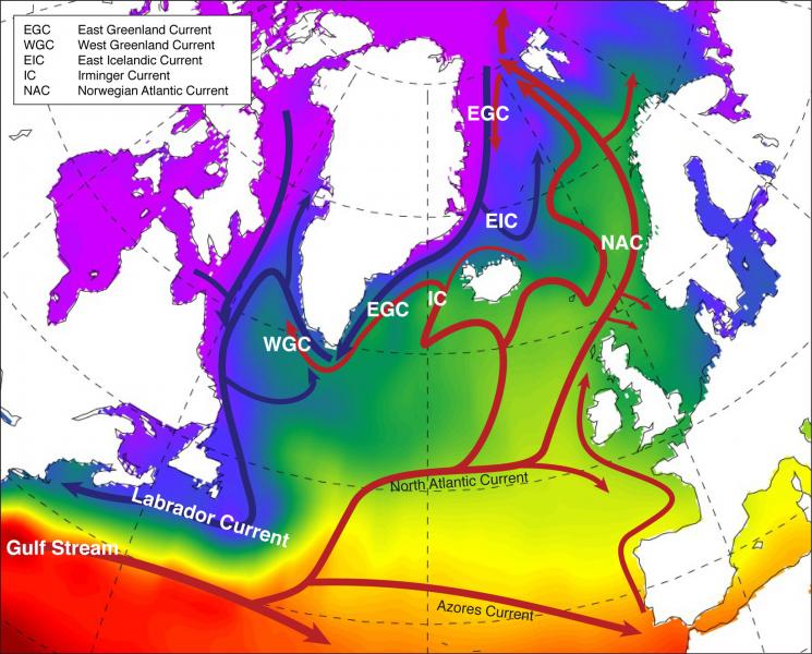 Surface currents of the North Atlantic overlying sea surface temperature.