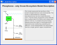 Phosphorus model description page