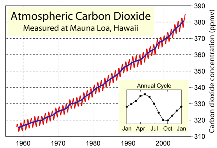 Rise in atmospheric CO2 as directly measured at Mauna Loa, Hawaii. This image is an original work created for Global Warming Art.