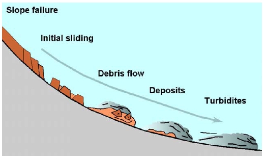 The evolution of a submarine landslide