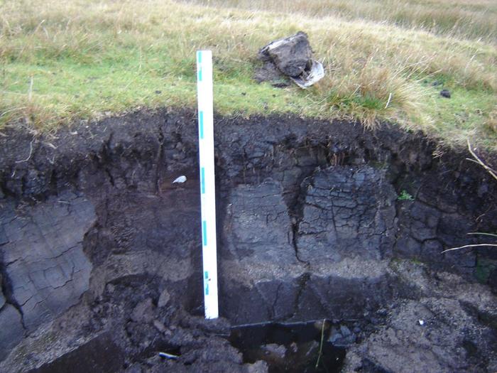 Fig. 2  Tsunami deposit (sandy unit) associated with the Storegga tsunami. This deposit was observed near Sullom Voe (Shetland Islands). The picture was taken by C. Freitas.