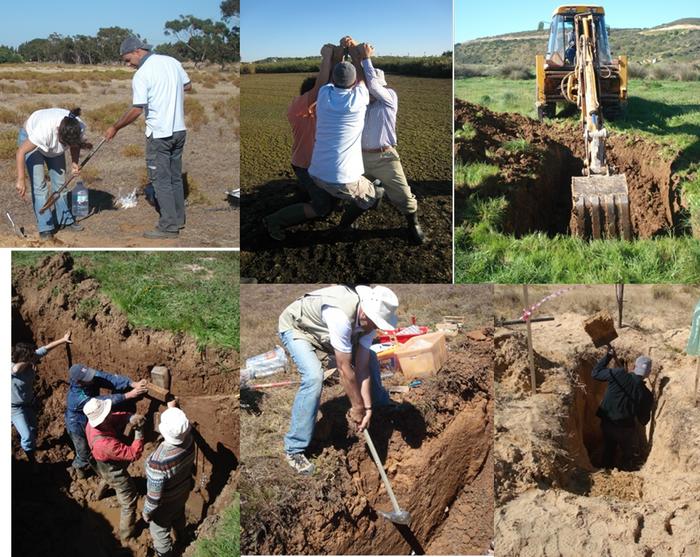 Fig. 3  Coring and trenching with the purpose of studying Holocene tsunami deposits in coastal areas. Picture courtesy of C. Freitas.