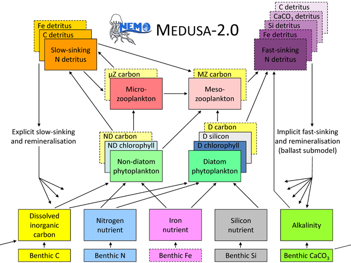 Medusa-2.0