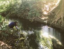 River sampling