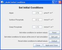 Phosphorus model initial conditions page.