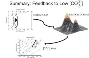 Chain of events set in motion by an abnormally low saturation state in seawater, leading to a return towards higher values