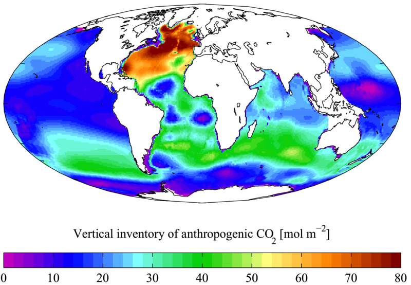 Future Ocean Carbon Sink