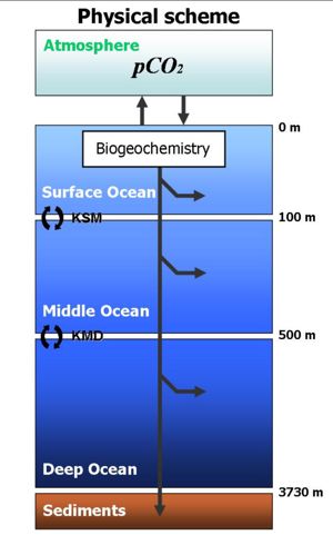 A diagrammatic representation of a three layer box model.