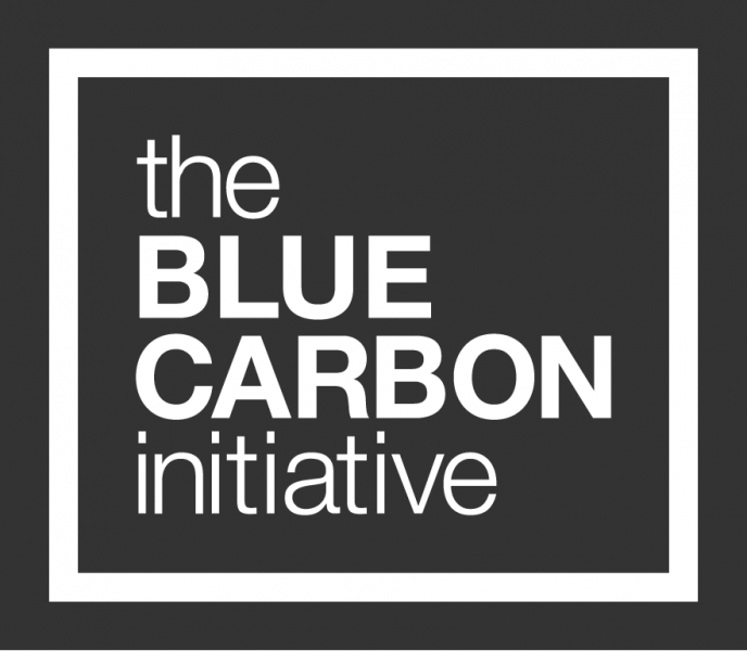 Blue Carbon initiative logo