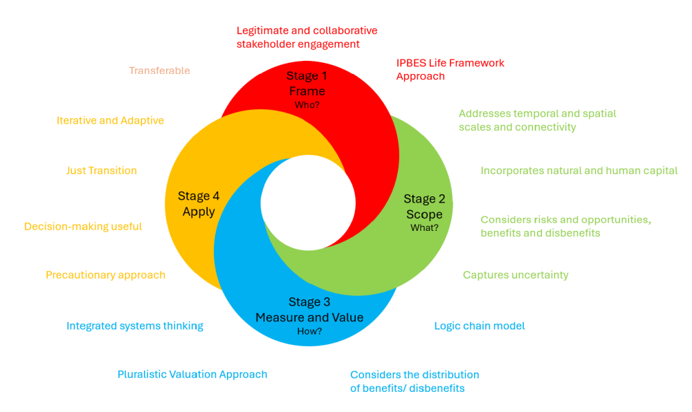 four key stages that the project will follow